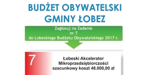 Łobeski Akcelerator Mikroprzedsiębiorczości - zadanie nr 7
