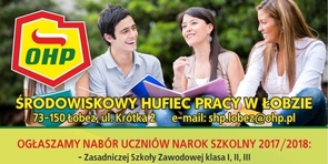 Środowiskowy hufiec pracy w Łobzie ogłasza nabór