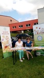 Promowanie Rodzicielstwa Zastępczego