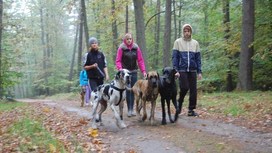 DOGTREKKING ŁOBEZ – trzecie spotkanie.