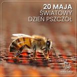 Światowy Dzień Pszczół. Pamiętajmy o pożytecznych owadach
