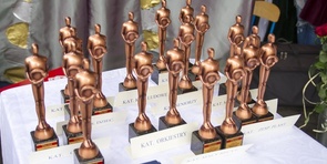 Laureaci Przeglądów Amatorskiego Ruchu Artystycznego 2015