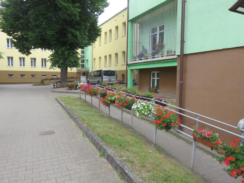 Sadzonki kwiatów dla Domu Pomocy Społecznej w Resku