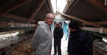Bono Fur Farm Wołkowo