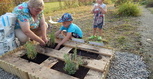 DSCN2275.JPG