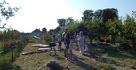 DSCN2221.JPG