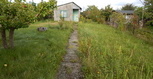DSCN2207.JPG