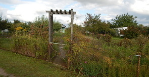 DSCN2205.JPG