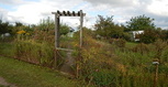 DSCN2205.JPG