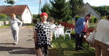 SAM_7531.JPG