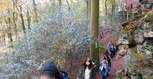 DSCN3232.JPG