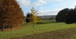 DSCN3145.JPG