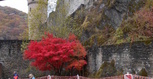 DSCN2885.JPG