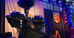 gala_sportu_2017_0184