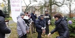 _MG_0699 (1)