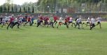 IMGP3223.JPG