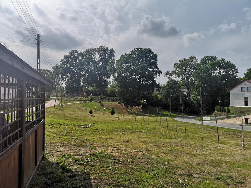 Lesięcin 2019