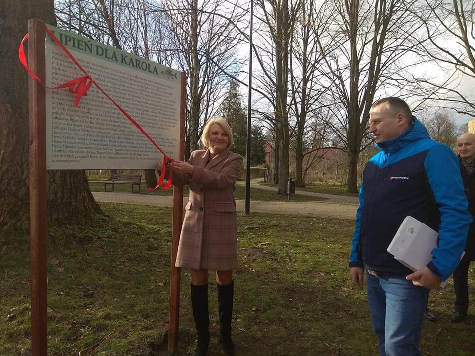 Ciekawa rzeźba w korycie rzeki Regi 21.02.2020