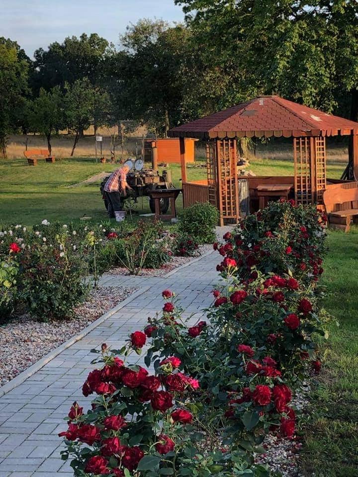 Rożany Zakątek w Wiewiecku 05.09.2020