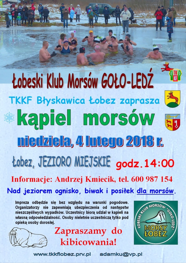 kąpiel morsów