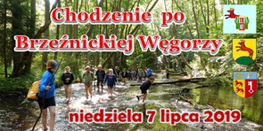 Chodzenie po Brzeźnickiej Węgorzy 07.07.2019
