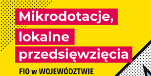 Ruszył nabór wniosków w konkursie grantowym: MIKRODOTACJE, LOKALNE PRZEDSIĘWZIĘCIA FIO w WOJEWÓDZTWIE ZACHODNIOPOMORSKIM 2020