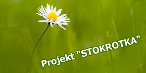 Spotkanie dot. Projektu "Stokrotka"